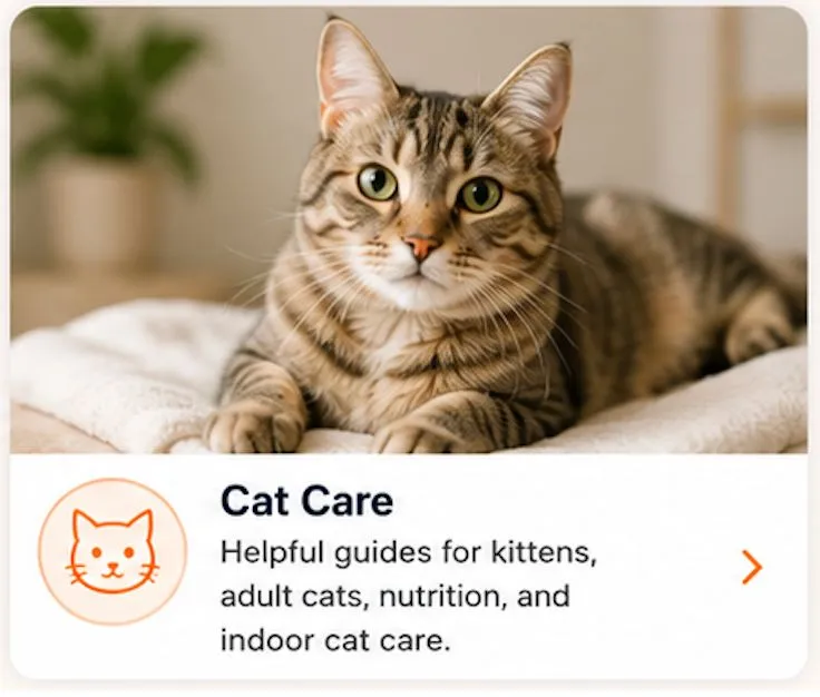 cat care