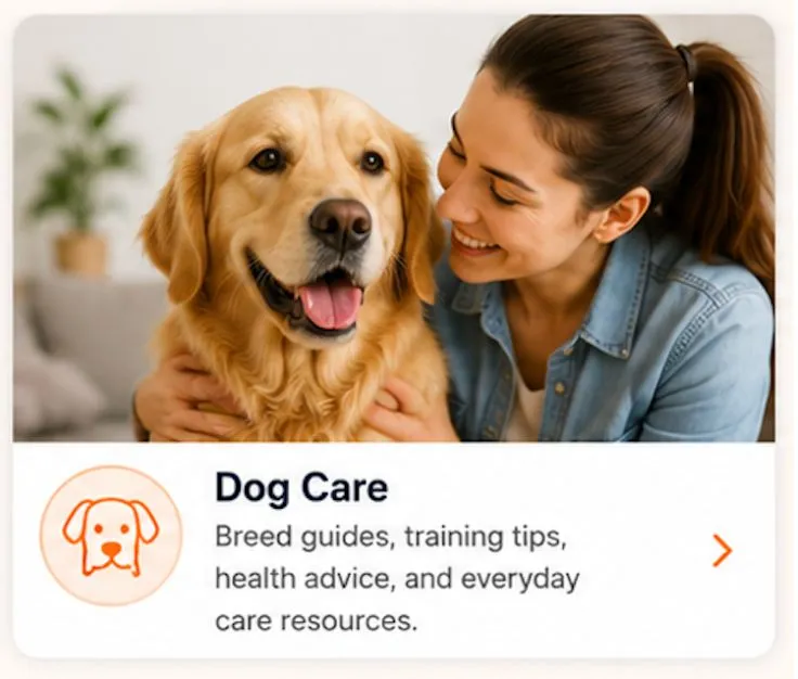 dog care