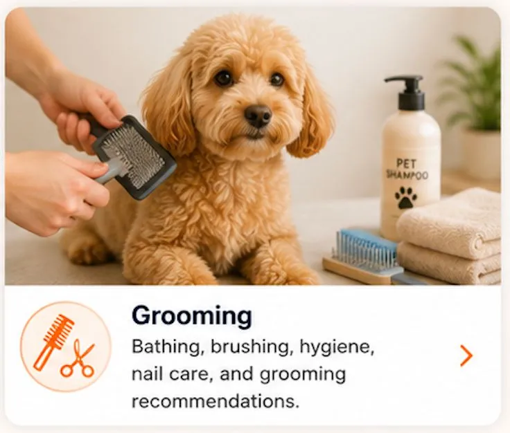 grooming