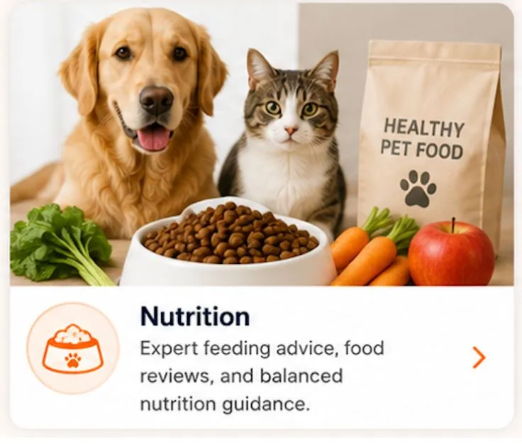 Nutrition